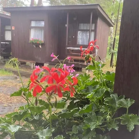 Szumi * Treptower Deep