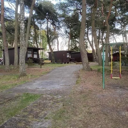Szumi