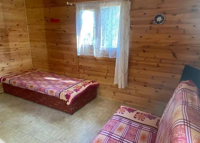 Szumi 므르제지노