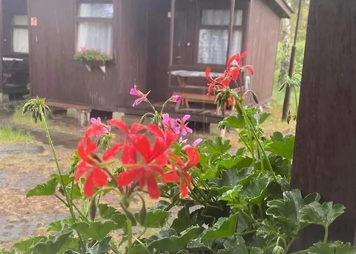 Szumi * 므르제지노